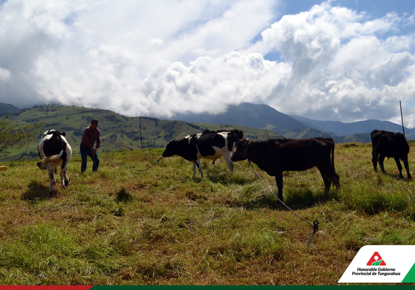 CAMPAÑA DE DESPARASITACIÓN Y VITAMINIZACIÓN EN SUCRE