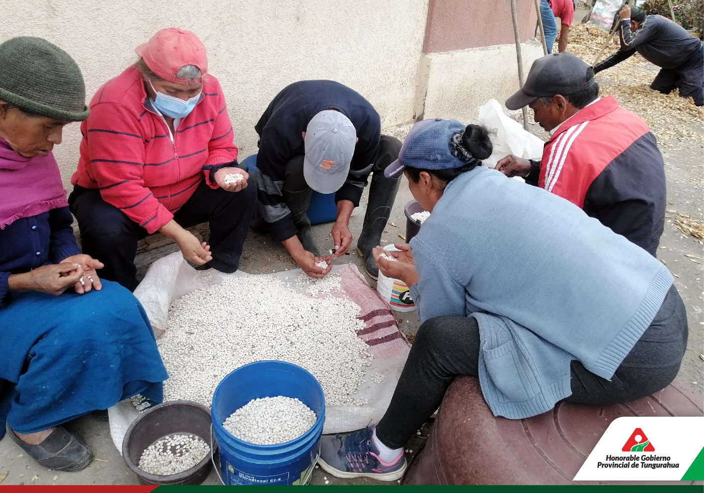 COSECHA EXITOSA DE CHOCHO.