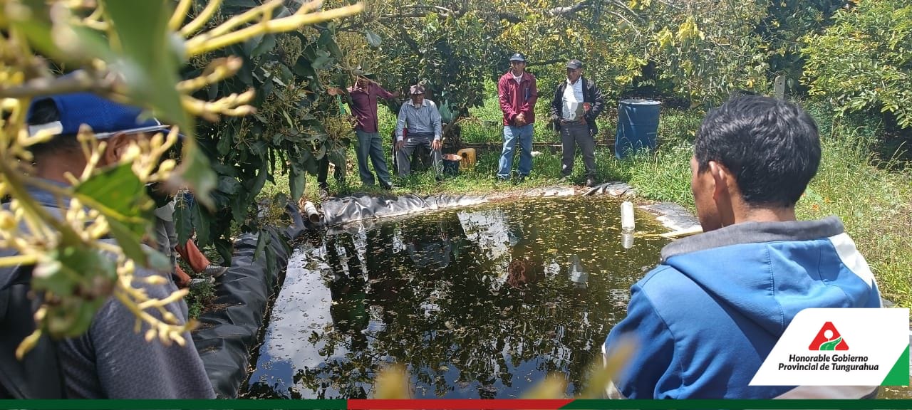 SIGSIPAMBA IMPULSA LA CRIANZA SOSTENIBLE DE TILAPIAS