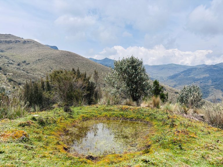 WhatsApp Image 2026-03-30 at 4.19.04 PM (1)