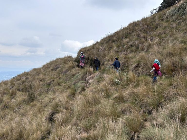 WhatsApp Image 2026-03-30 at 4.19.04 PM (2)