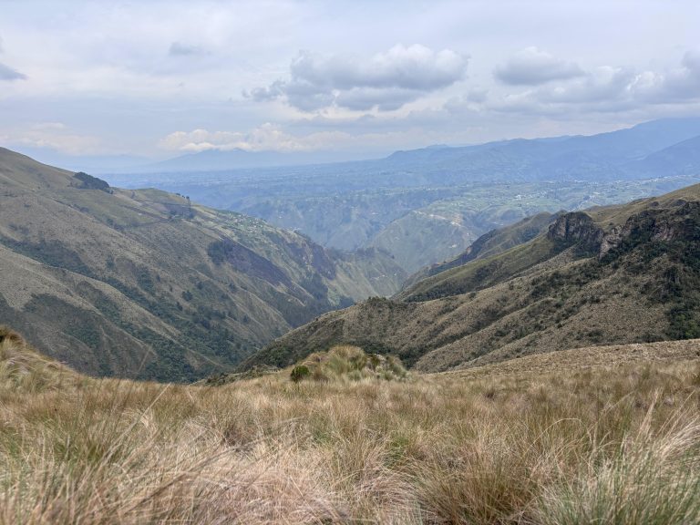 WhatsApp Image 2026-03-30 at 4.19.05 PM (2)