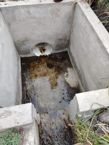 WhatsApp Image 2026-03-24 at 2.27.25 PM