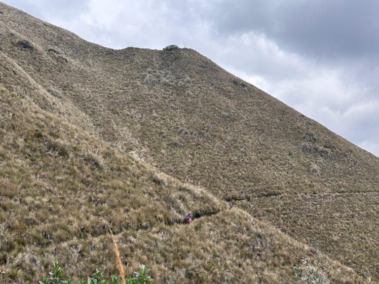 WhatsApp Image 2026-03-30 at 4.19.03 PM