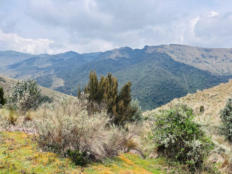 WhatsApp Image 2026-03-30 at 4.19.05 PM (1)