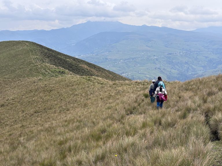 WhatsApp Image 2026-03-30 at 4.19.05 PM