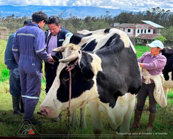 Con el manejo sostenible del páramo se fortalece el futuro de las familias de marcos espinel de Píllaro