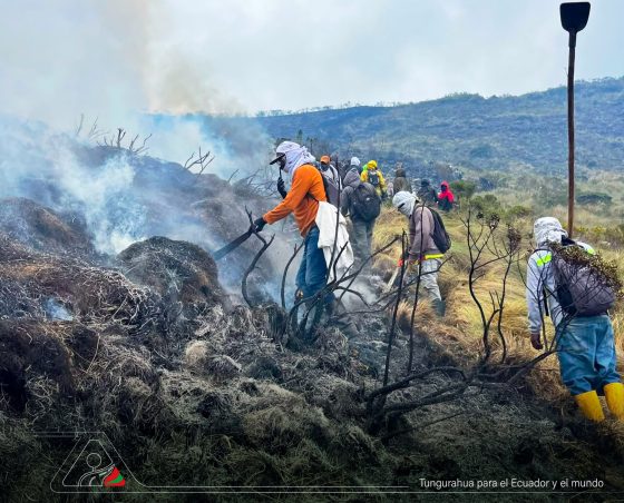 Tungurahua fortalece la defensa de sus páramos y fuentes de agua