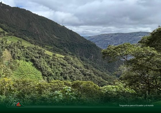 Tungurahua activa el “Programa Páramo” para proteger agua y biodiversidad