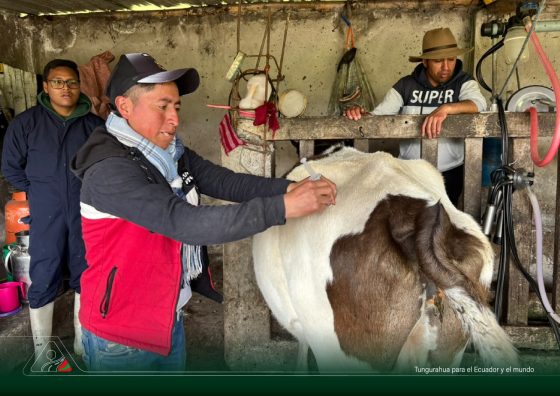 780 ANIMALES ATENDIDOS PARA FORTALECER EL CAMPO EN PILAHUÍN