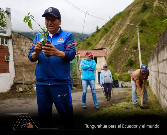 380 PLANTAS NATIVAS DAN VIDA AL GEOPARQUE TUNGURAHUA